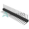 PEC20SGBN